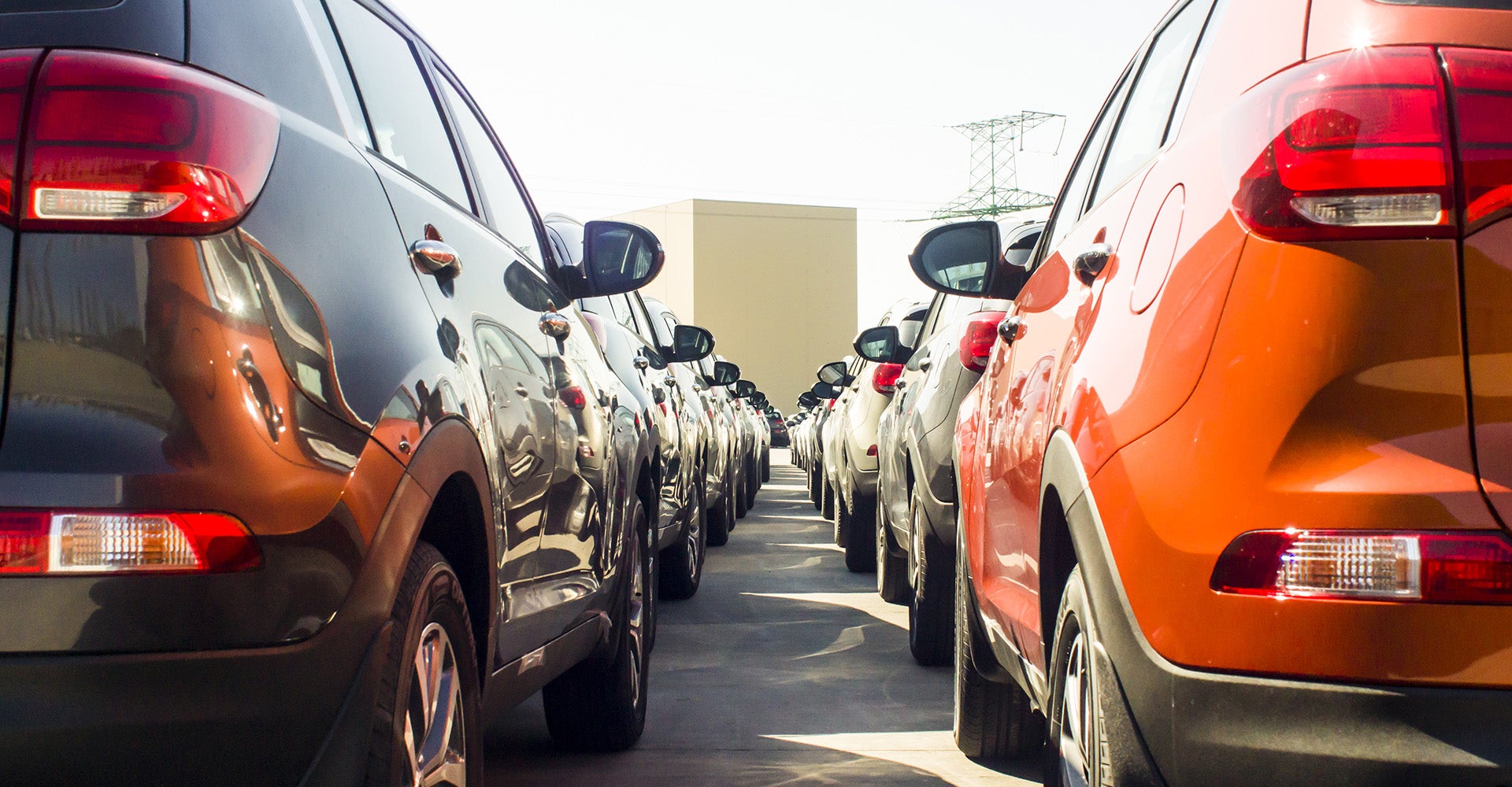 cars in dealership lot